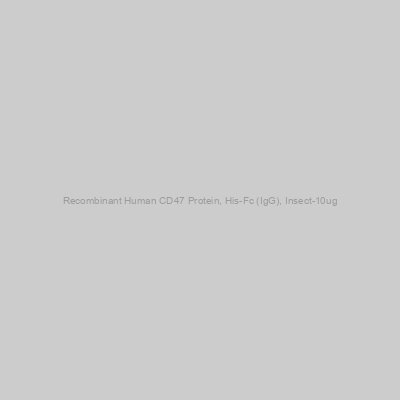 Recombinant Human CD47 Protein, His-Fc (IgG), Insect-10ug